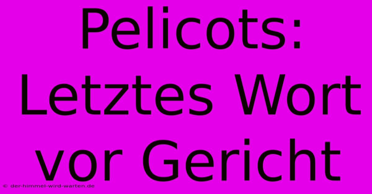 Pelicots: Letztes Wort Vor Gericht