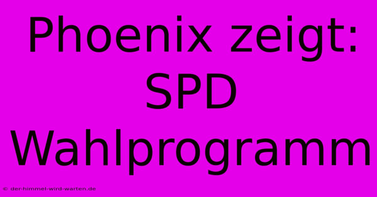 Phoenix Zeigt: SPD Wahlprogramm