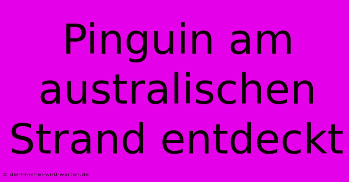 Pinguin Am Australischen Strand Entdeckt