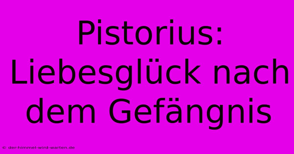 Pistorius: Liebesglück Nach Dem Gefängnis