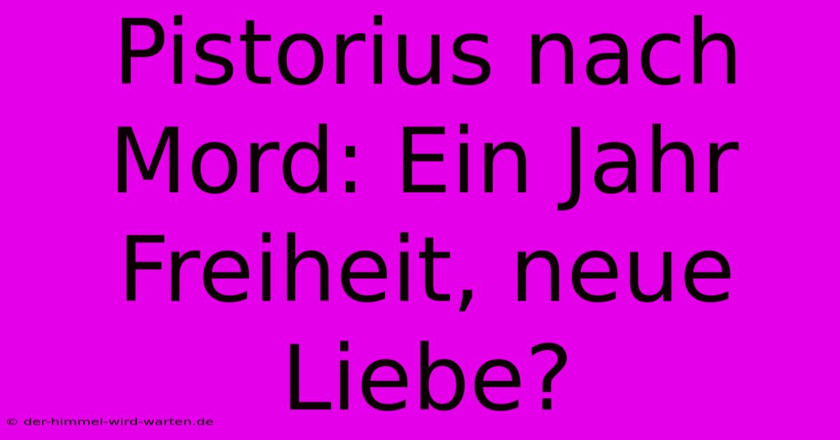 Pistorius Nach Mord: Ein Jahr Freiheit, Neue Liebe?