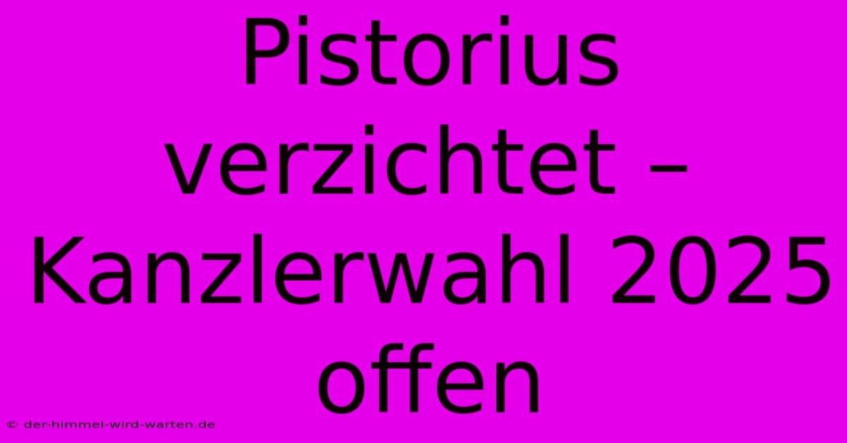 Pistorius Verzichtet –  Kanzlerwahl 2025 Offen