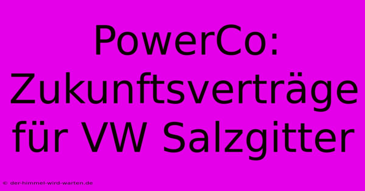 PowerCo: Zukunftsverträge Für VW Salzgitter