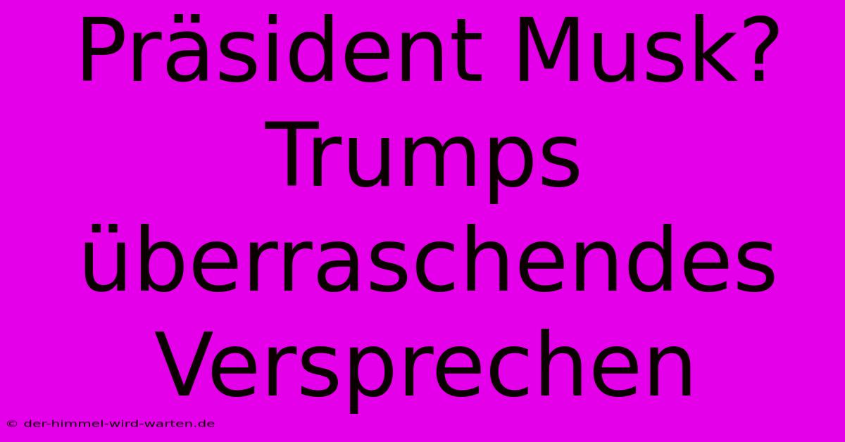 Präsident Musk? Trumps Überraschendes Versprechen