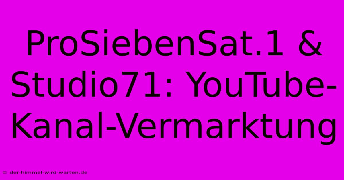 ProSiebenSat.1 & Studio71: YouTube-Kanal-Vermarktung