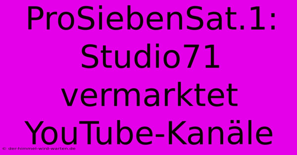 ProSiebenSat.1: Studio71 Vermarktet YouTube-Kanäle