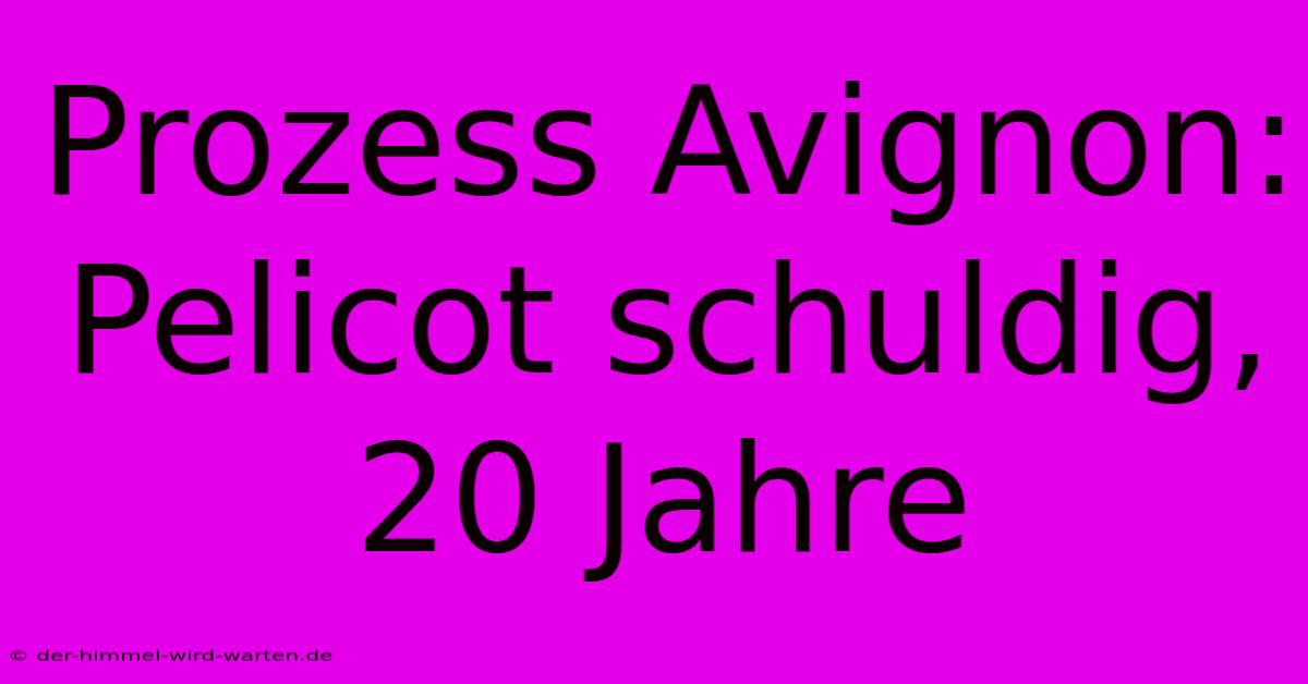 Prozess Avignon: Pelicot Schuldig, 20 Jahre