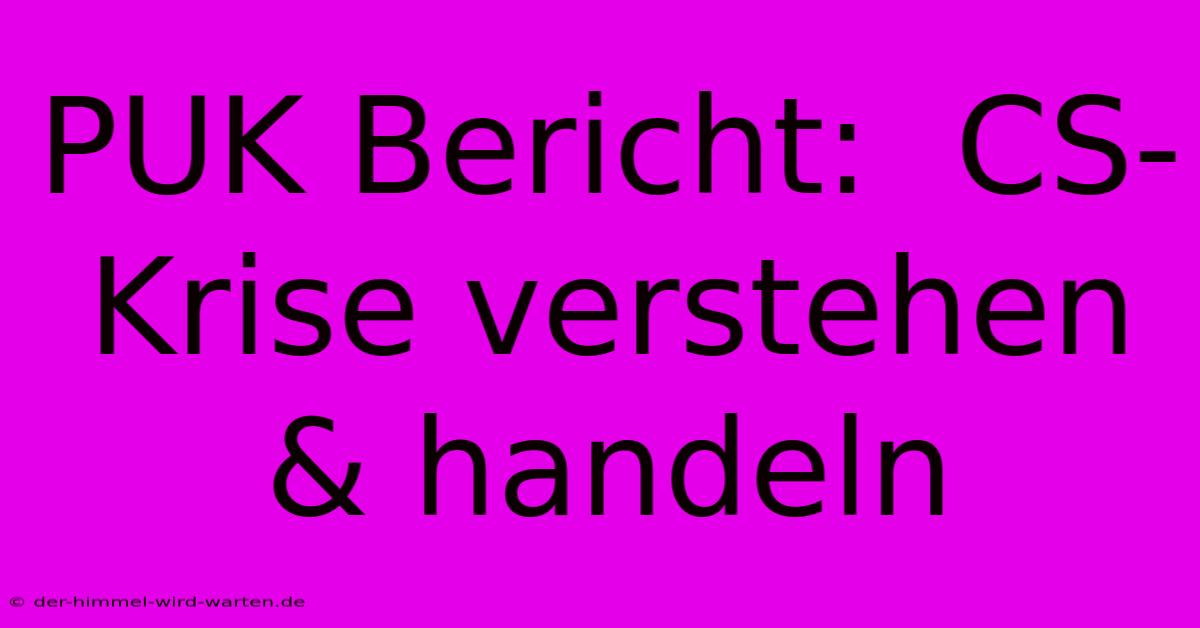 PUK Bericht:  CS-Krise Verstehen & Handeln