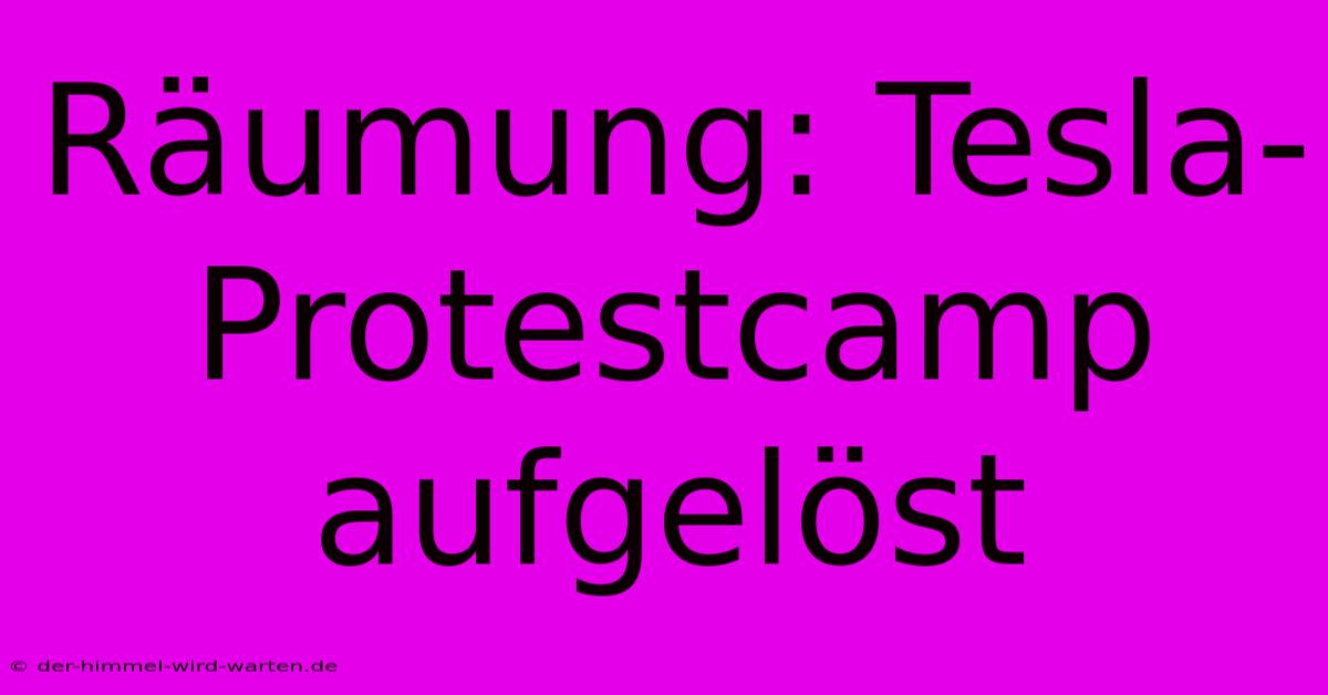 Räumung: Tesla-Protestcamp Aufgelöst