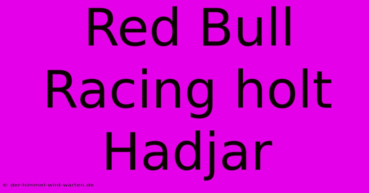 Red Bull Racing Holt Hadjar