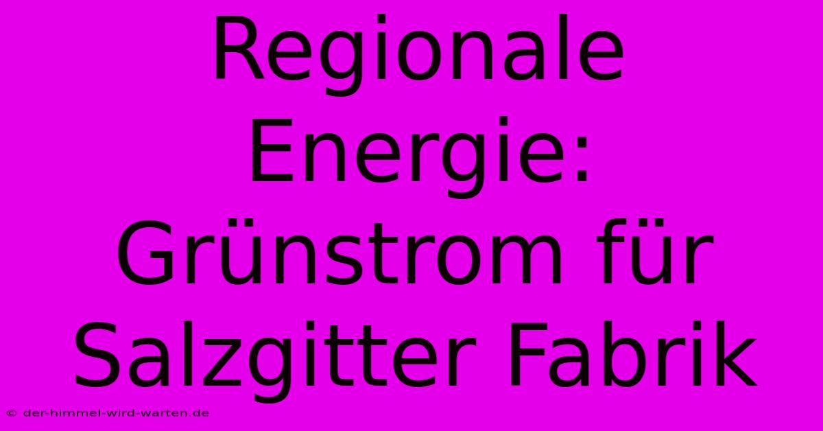 Regionale Energie: Grünstrom Für Salzgitter Fabrik