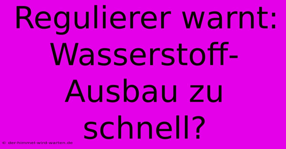 Regulierer Warnt: Wasserstoff-Ausbau Zu Schnell?