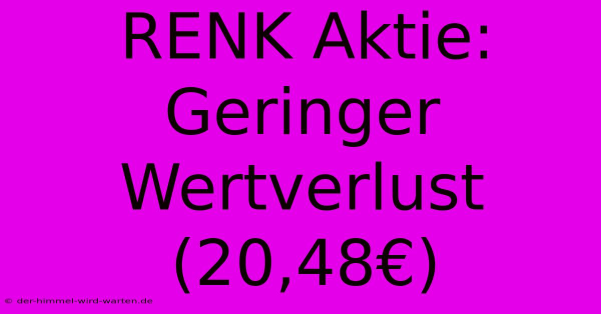 RENK Aktie: Geringer Wertverlust (20,48€)