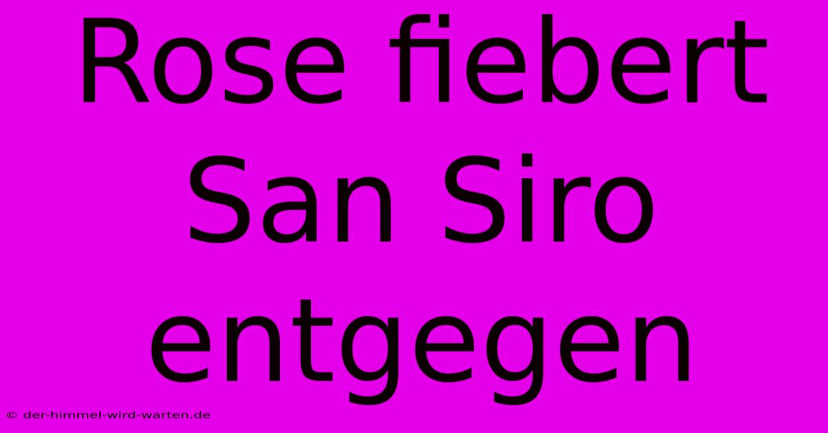 Rose Fiebert San Siro Entgegen