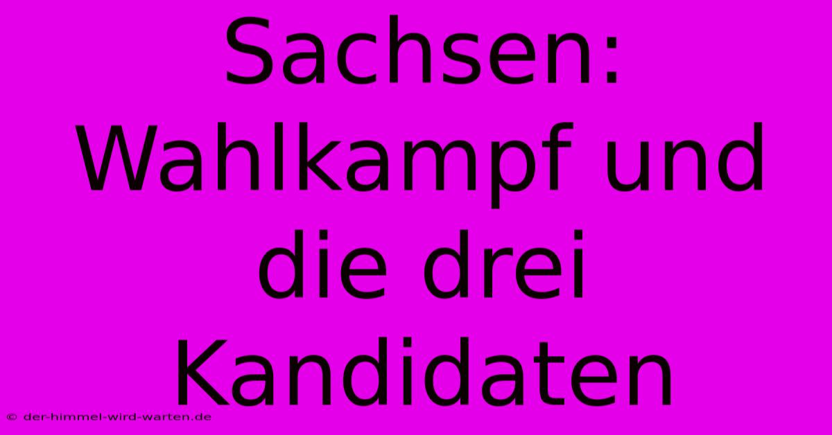 Sachsen: Wahlkampf Und Die Drei Kandidaten