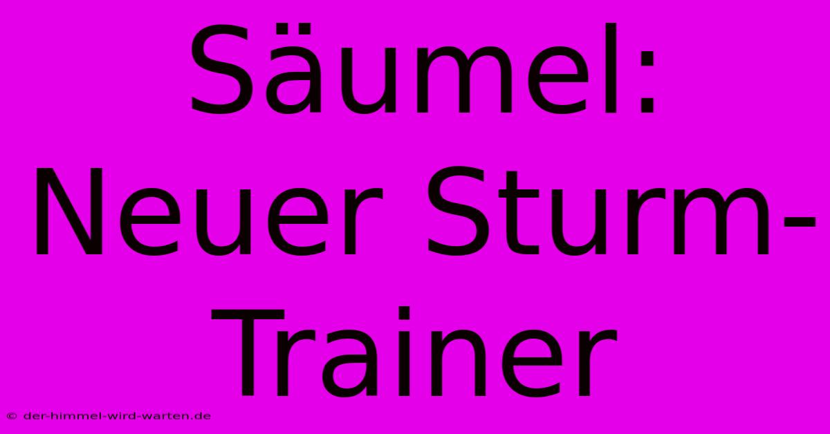 Säumel: Neuer Sturm-Trainer