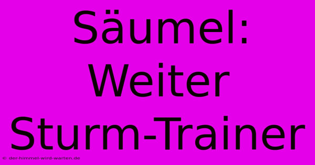 Säumel: Weiter Sturm-Trainer