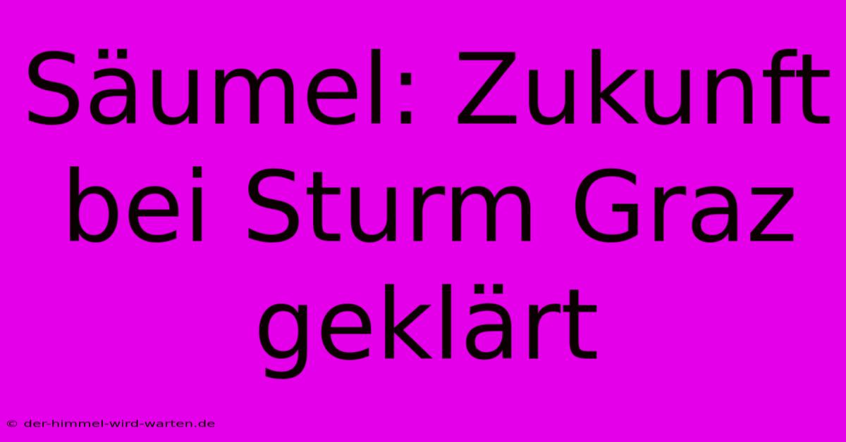 Säumel: Zukunft Bei Sturm Graz Geklärt
