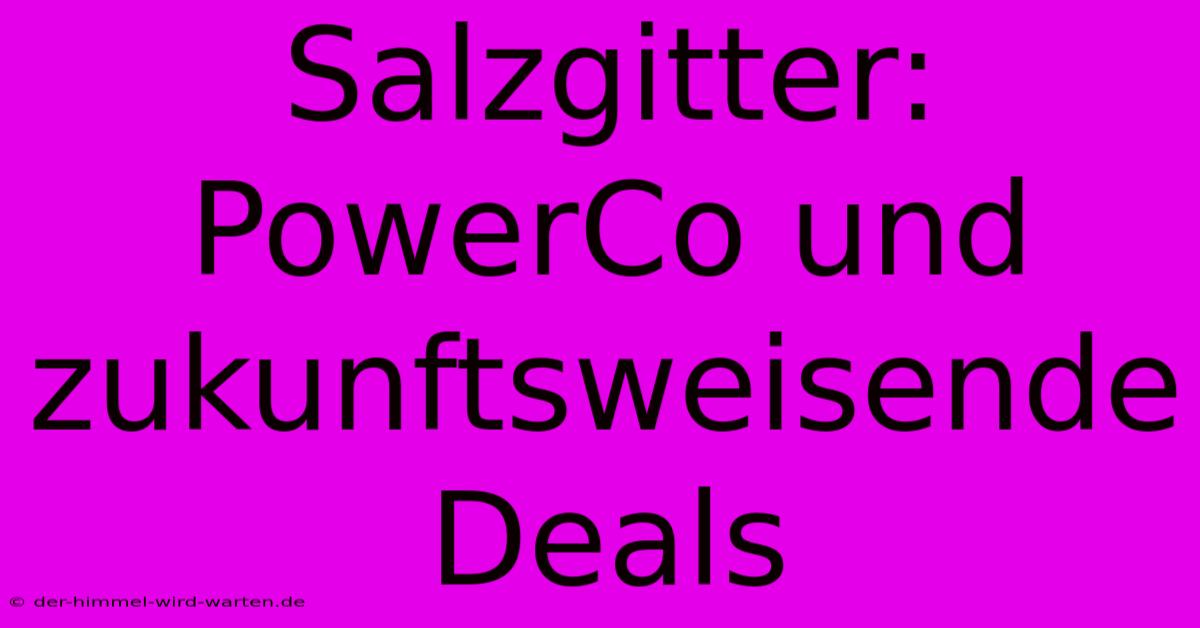 Salzgitter: PowerCo Und Zukunftsweisende Deals