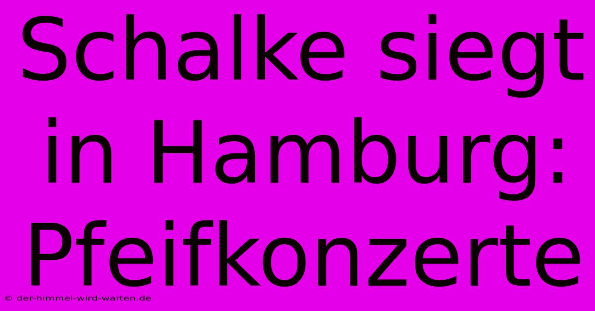 Schalke Siegt In Hamburg: Pfeifkonzerte