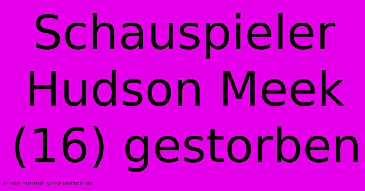 Schauspieler Hudson Meek (16) Gestorben