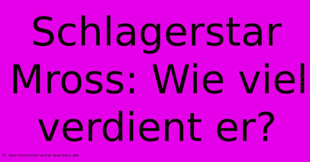 Schlagerstar Mross: Wie Viel Verdient Er?