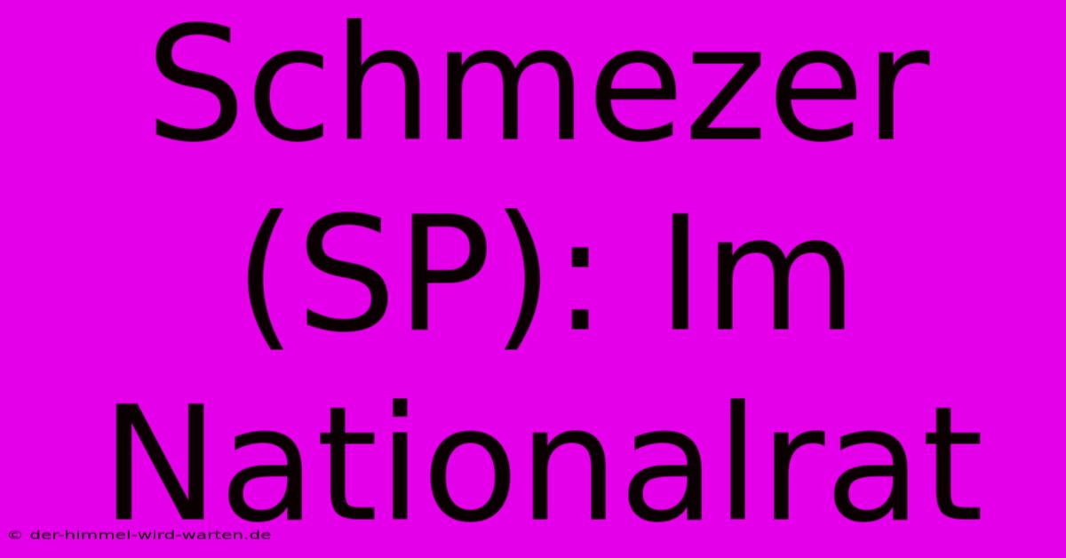 Schmezer (SP): Im Nationalrat