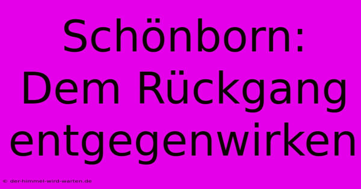 Schönborn:  Dem Rückgang Entgegenwirken