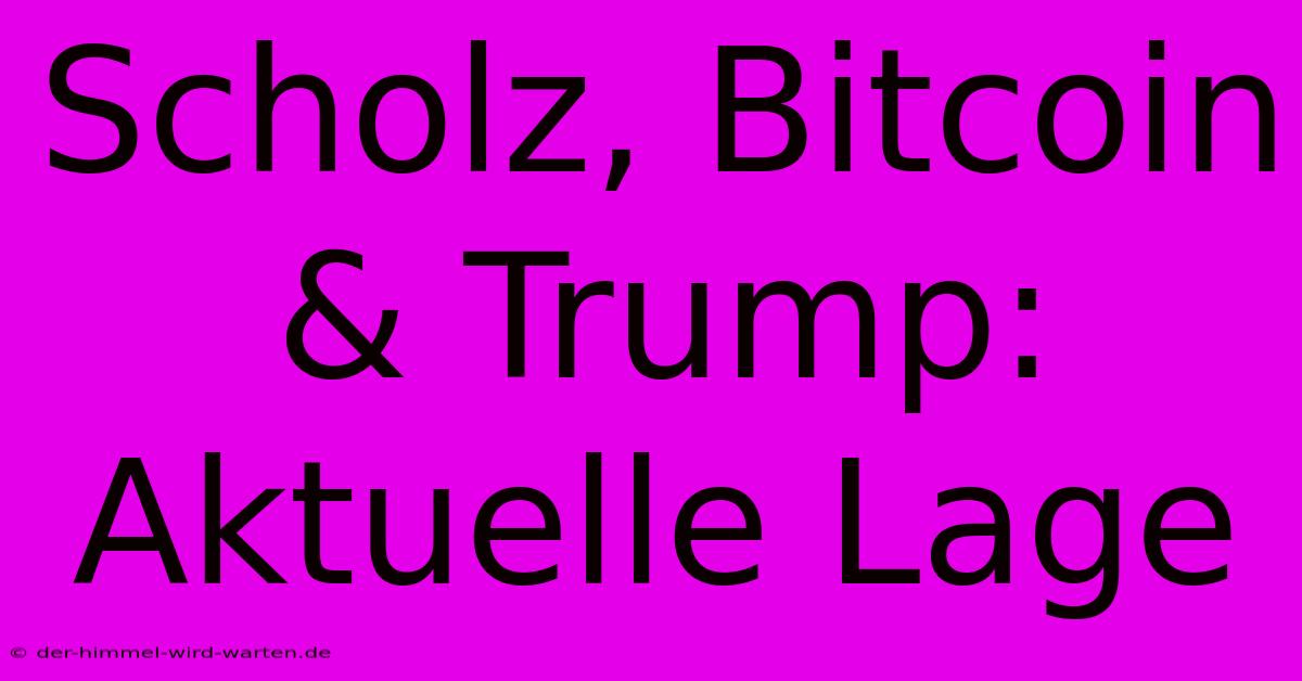 Scholz, Bitcoin & Trump: Aktuelle Lage