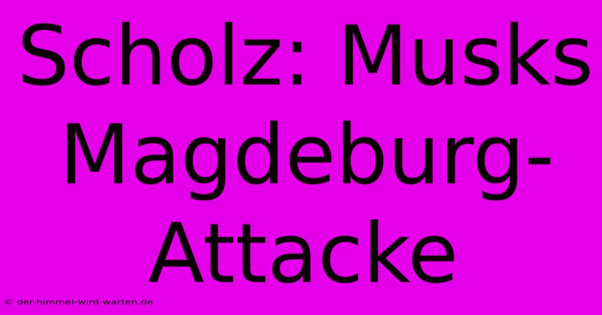 Scholz: Musks Magdeburg-Attacke