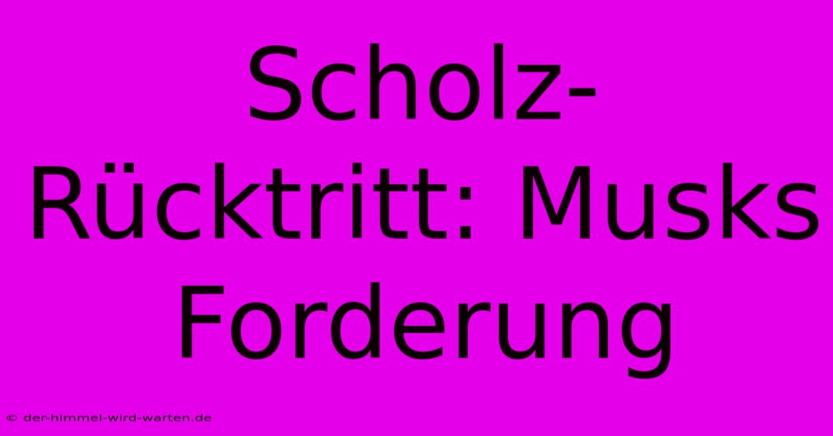 Scholz-Rücktritt: Musks Forderung