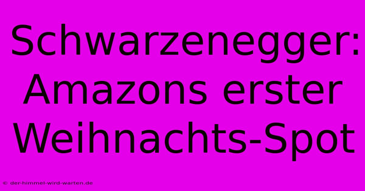 Schwarzenegger: Amazons Erster Weihnachts-Spot