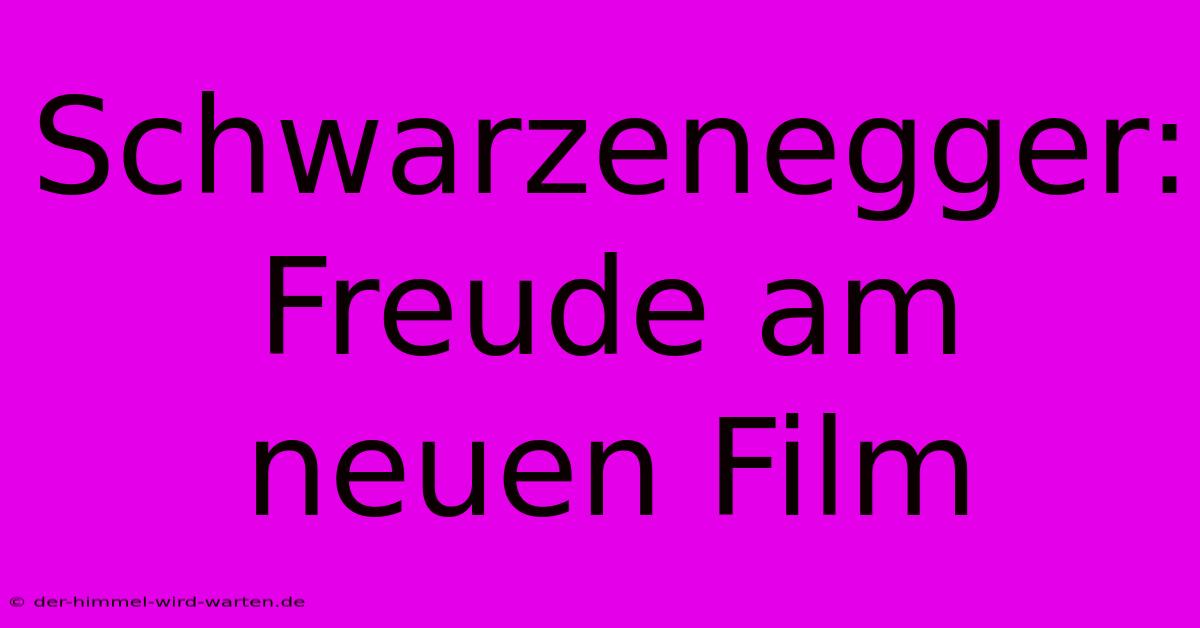 Schwarzenegger: Freude Am Neuen Film