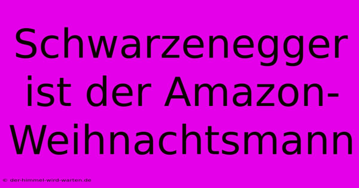 Schwarzenegger Ist Der Amazon-Weihnachtsmann