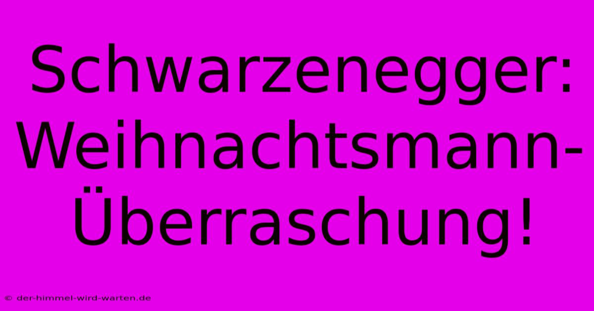 Schwarzenegger:  Weihnachtsmann-Überraschung!