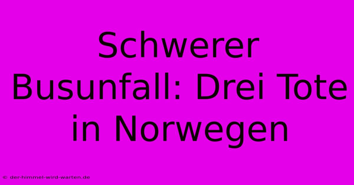 Schwerer Busunfall: Drei Tote In Norwegen