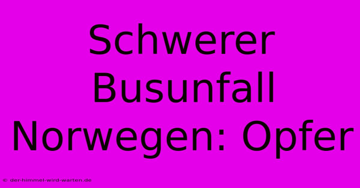 Schwerer Busunfall Norwegen: Opfer