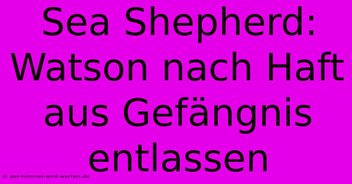 Sea Shepherd: Watson Nach Haft Aus Gefängnis Entlassen