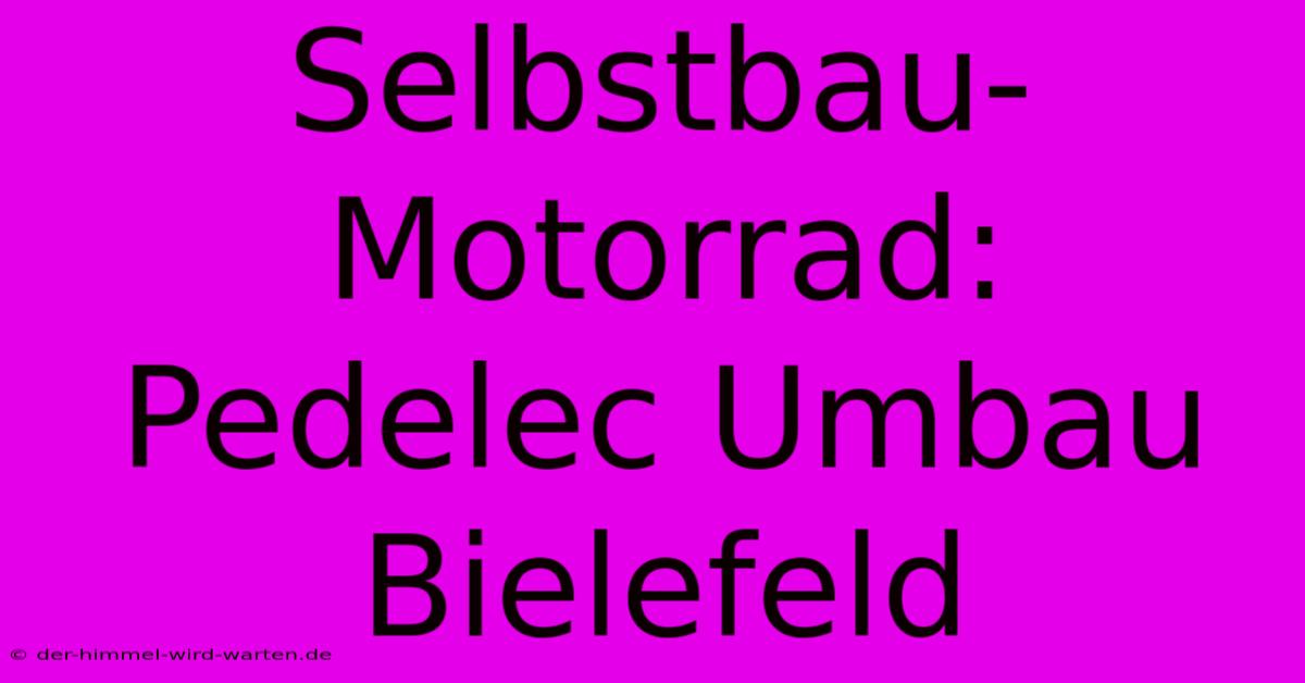 Selbstbau-Motorrad: Pedelec Umbau Bielefeld