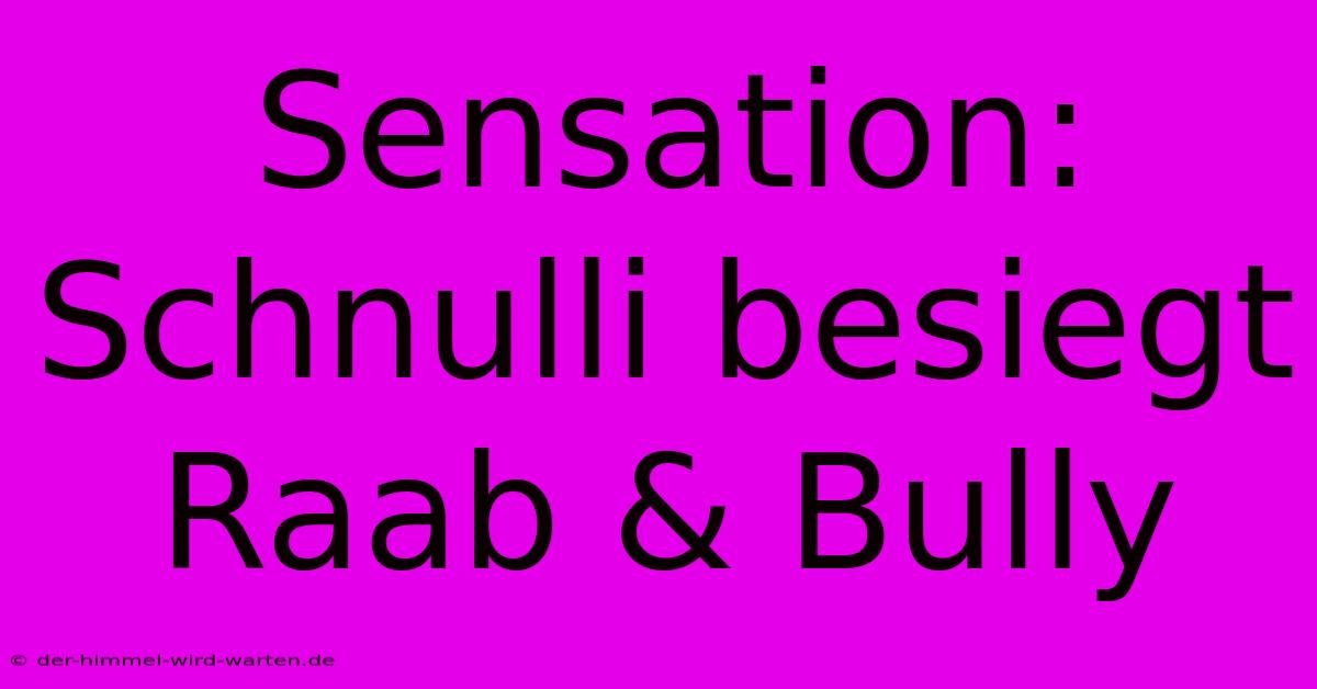 Sensation: Schnulli Besiegt Raab & Bully