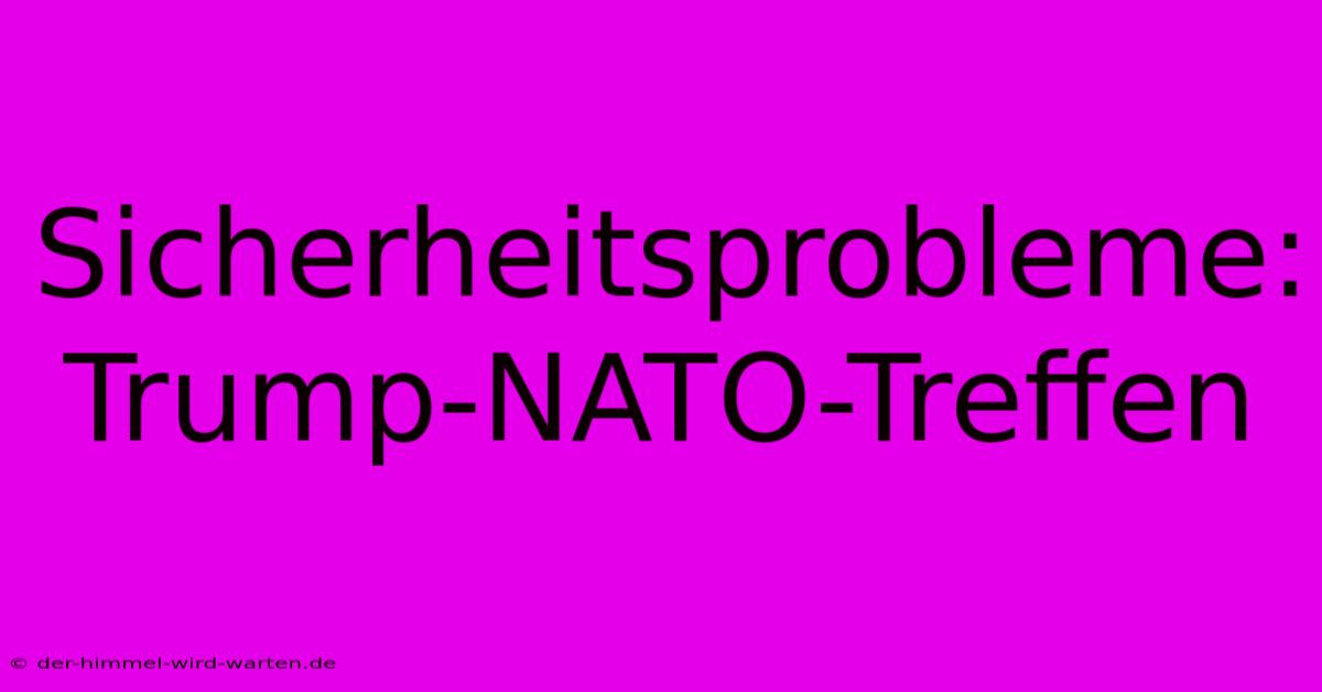 Sicherheitsprobleme: Trump-NATO-Treffen