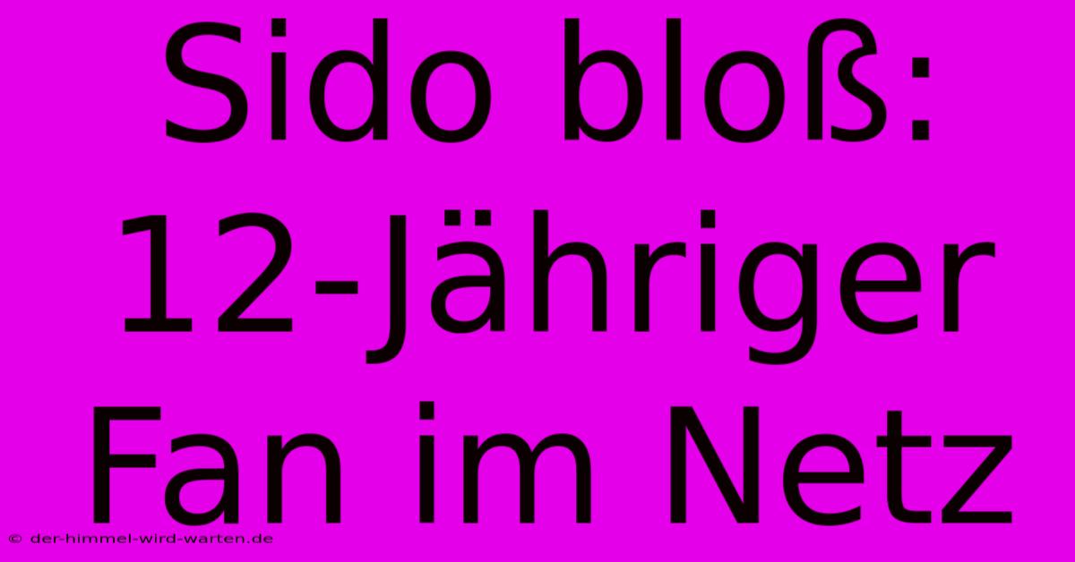 Sido Bloß: 12-Jähriger Fan Im Netz