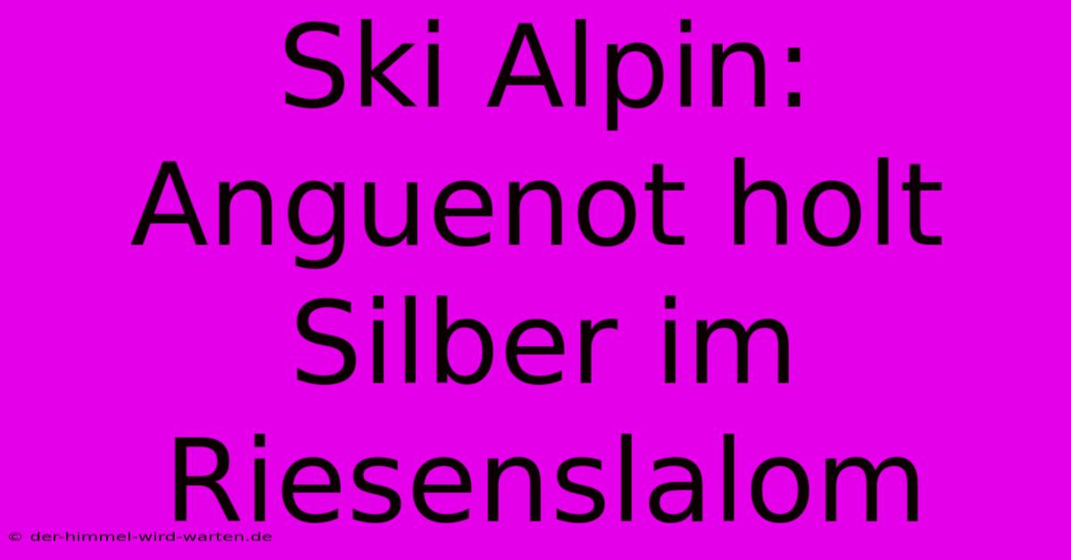 Ski Alpin: Anguenot Holt Silber Im Riesenslalom