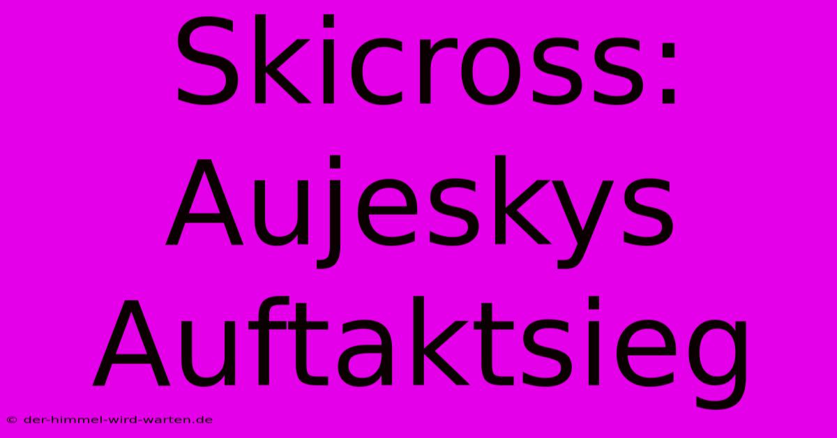 Skicross: Aujeskys Auftaktsieg