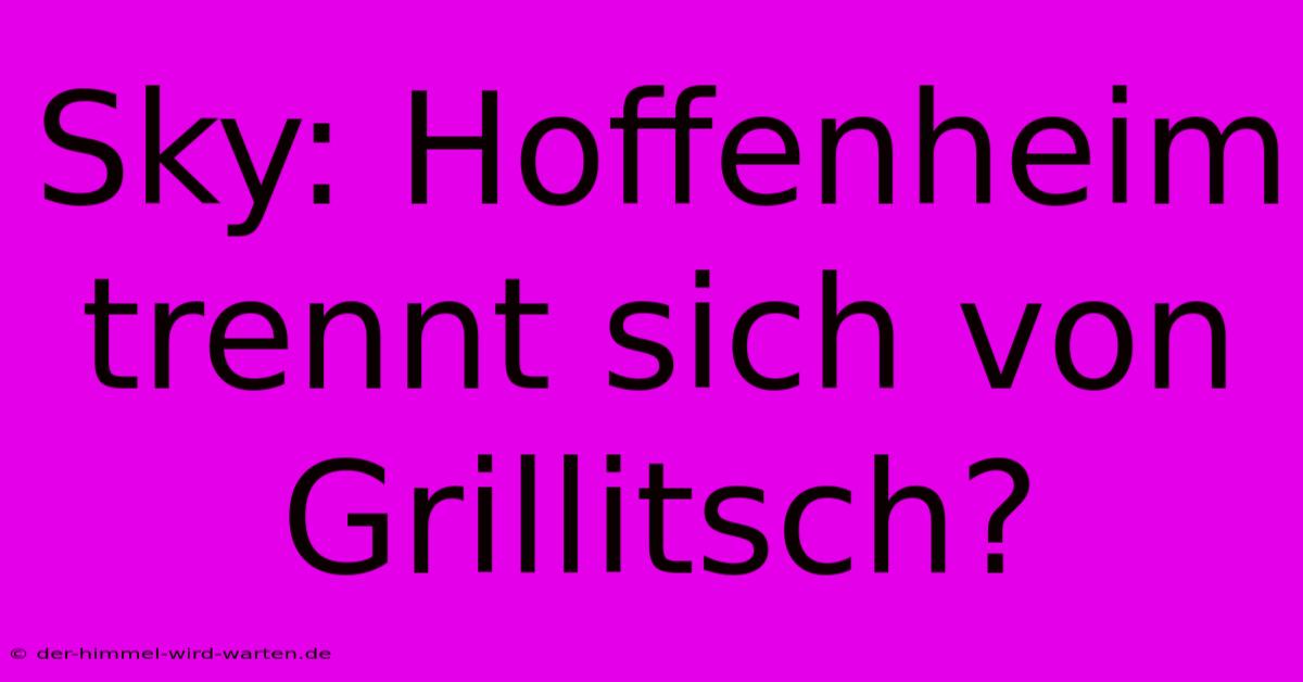 Sky: Hoffenheim Trennt Sich Von Grillitsch?