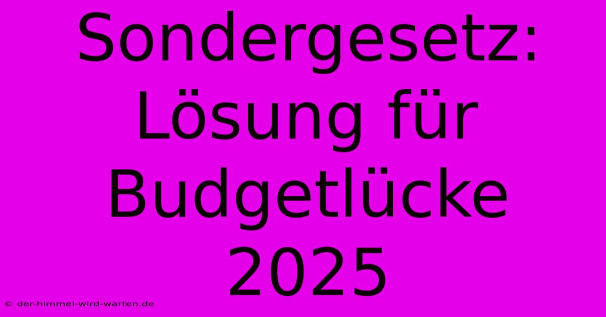 Sondergesetz:  Lösung Für Budgetlücke 2025