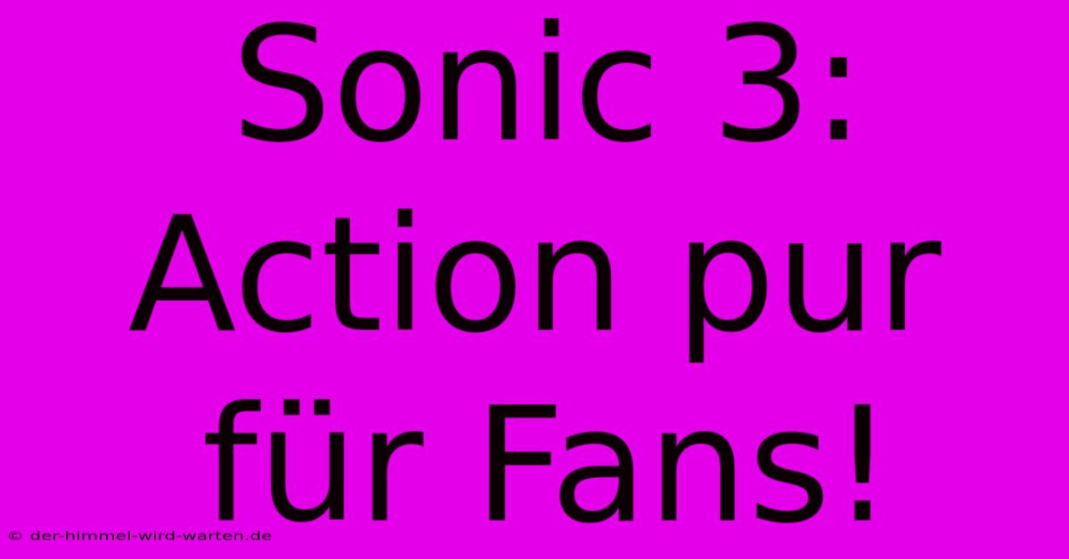 Sonic 3:  Action Pur Für Fans!