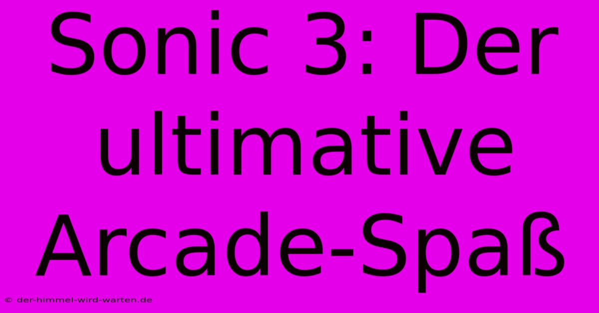 Sonic 3: Der Ultimative Arcade-Spaß