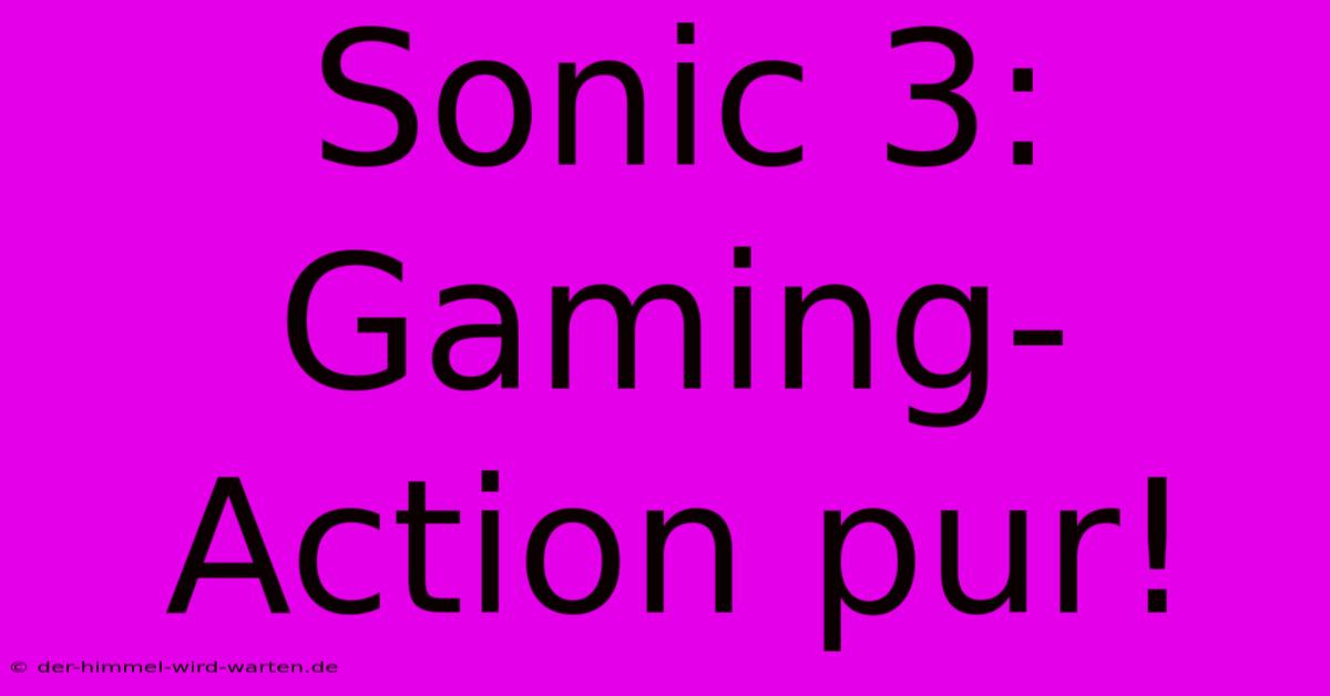 Sonic 3:  Gaming-Action Pur!