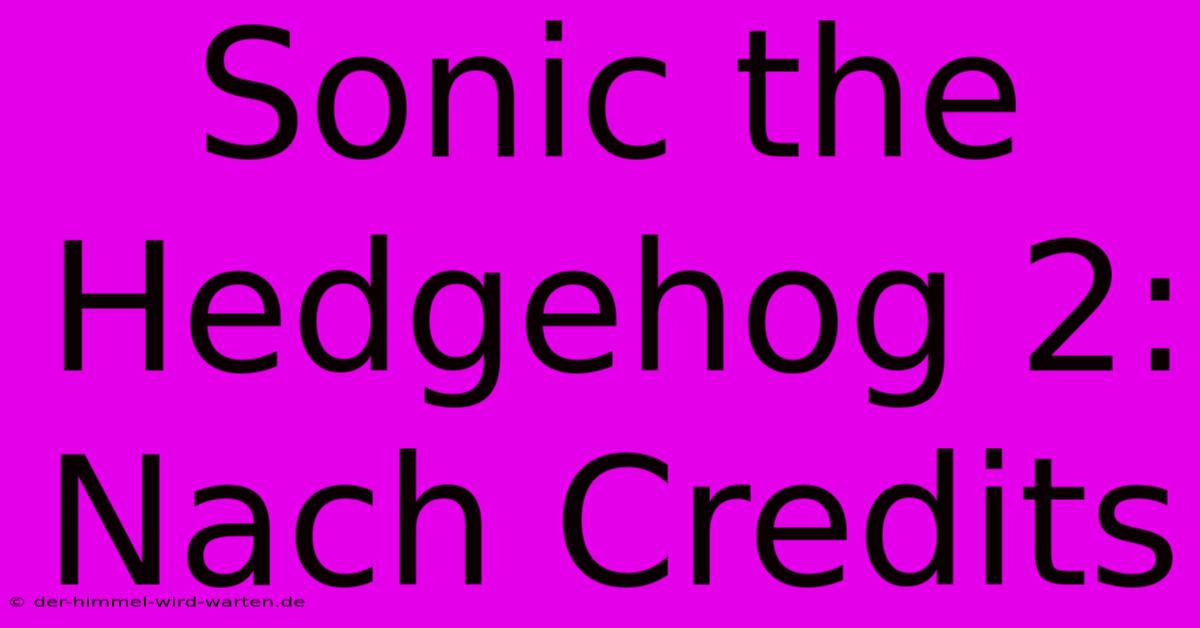 Sonic The Hedgehog 2: Nach Credits